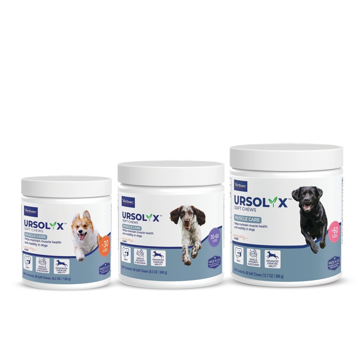 Ursolyx Soft Chews