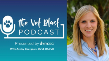 Accurately diagnose canine food allergies once and for all 