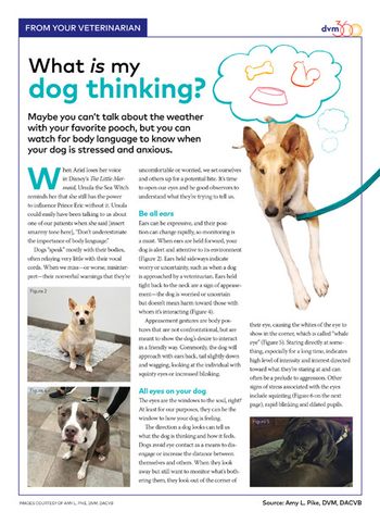 veterinary-handout-dog-body-language-amy-pike-450.jpg