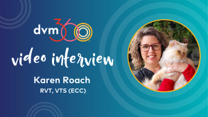 Collecting patient blood donations