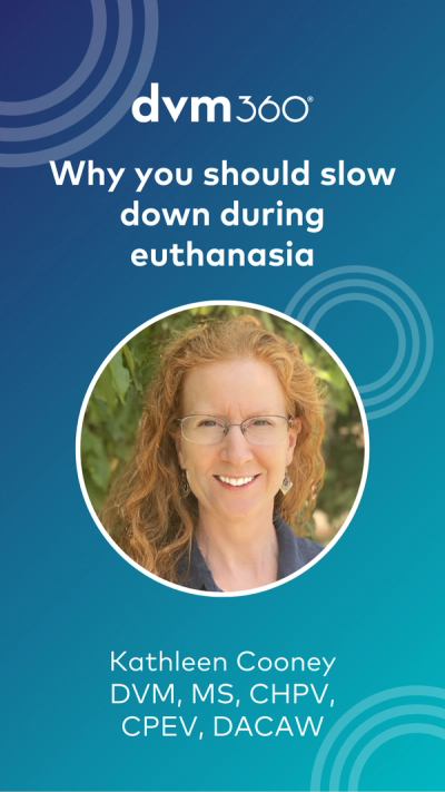 Why you should slow down during euthanasia