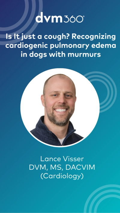 Is It just a cough? Recognizing cardiogenic pulmonary edema in dogs with murmurs