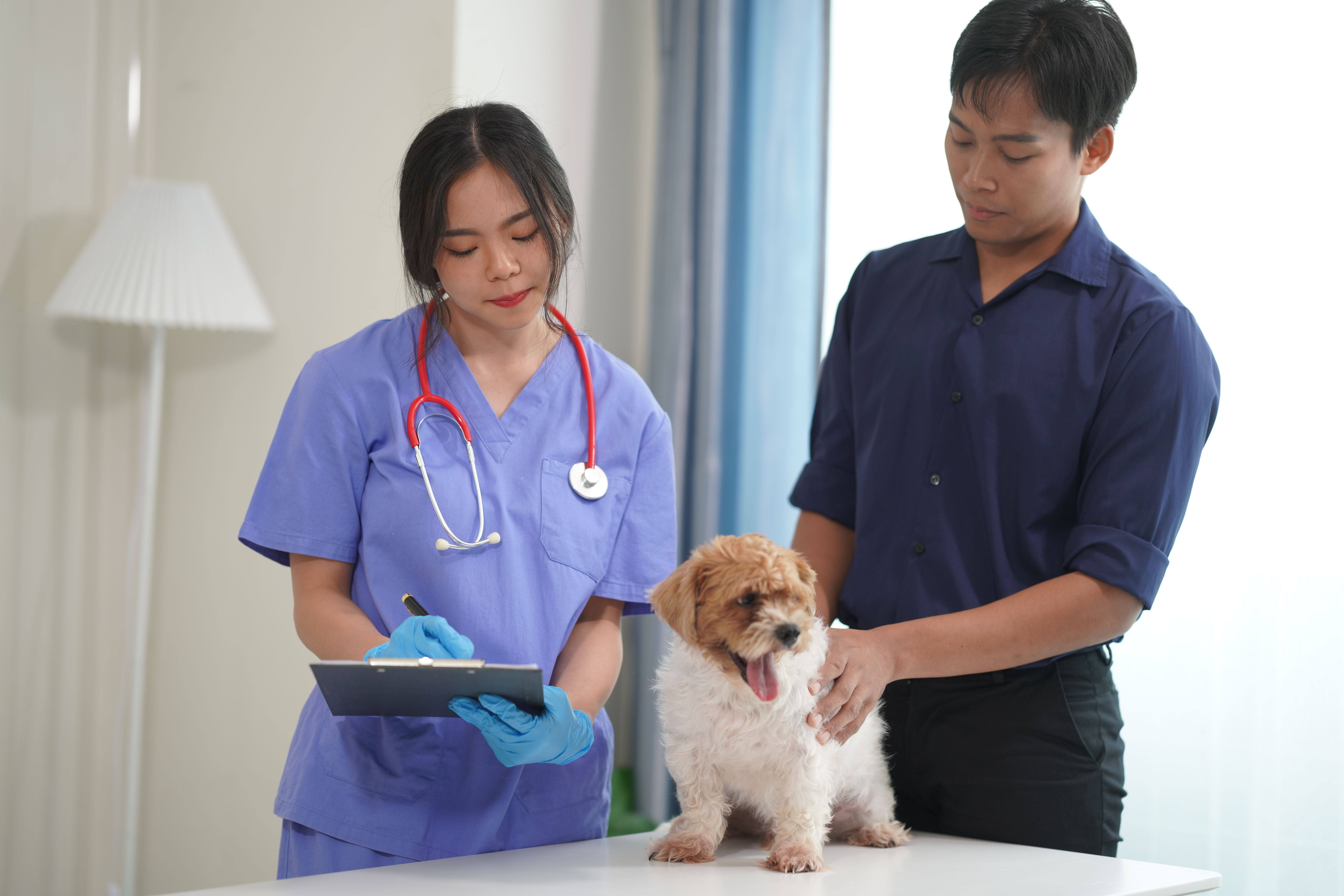 Veterinary practice launches new initiative supporting government employees, and more Veterinary practice launches new initiative supporting government employees, and more