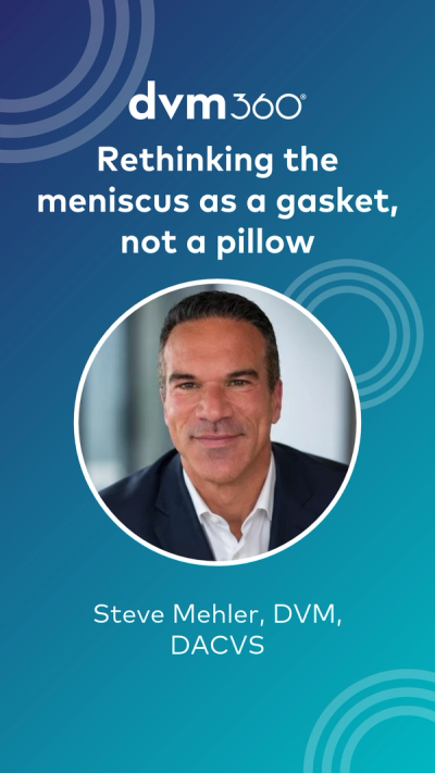 Rethinking the meniscus as a gasket, not a pillow