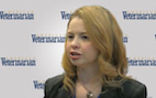 Onsior: Soft Tissue Surgery Pain Relief for Cats and Dogs