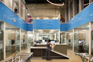 Establishing a strong framework