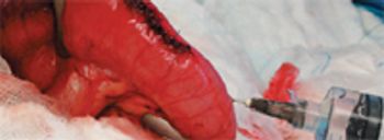 Fig-6_veterinary_dvm0411-715261-1384192377930.jpg