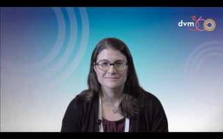 The challenges of inflammatory bowel disease in dogs and cats