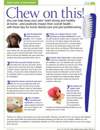 handout-220.jpg
