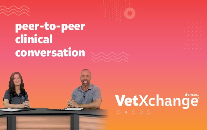 VetXchange