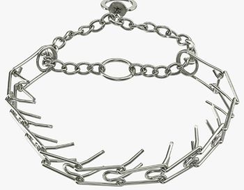 veterinary-training collar-AdobeStock_120488714 (1).jpg