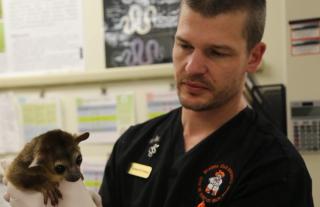 Performing and calculating a PCV