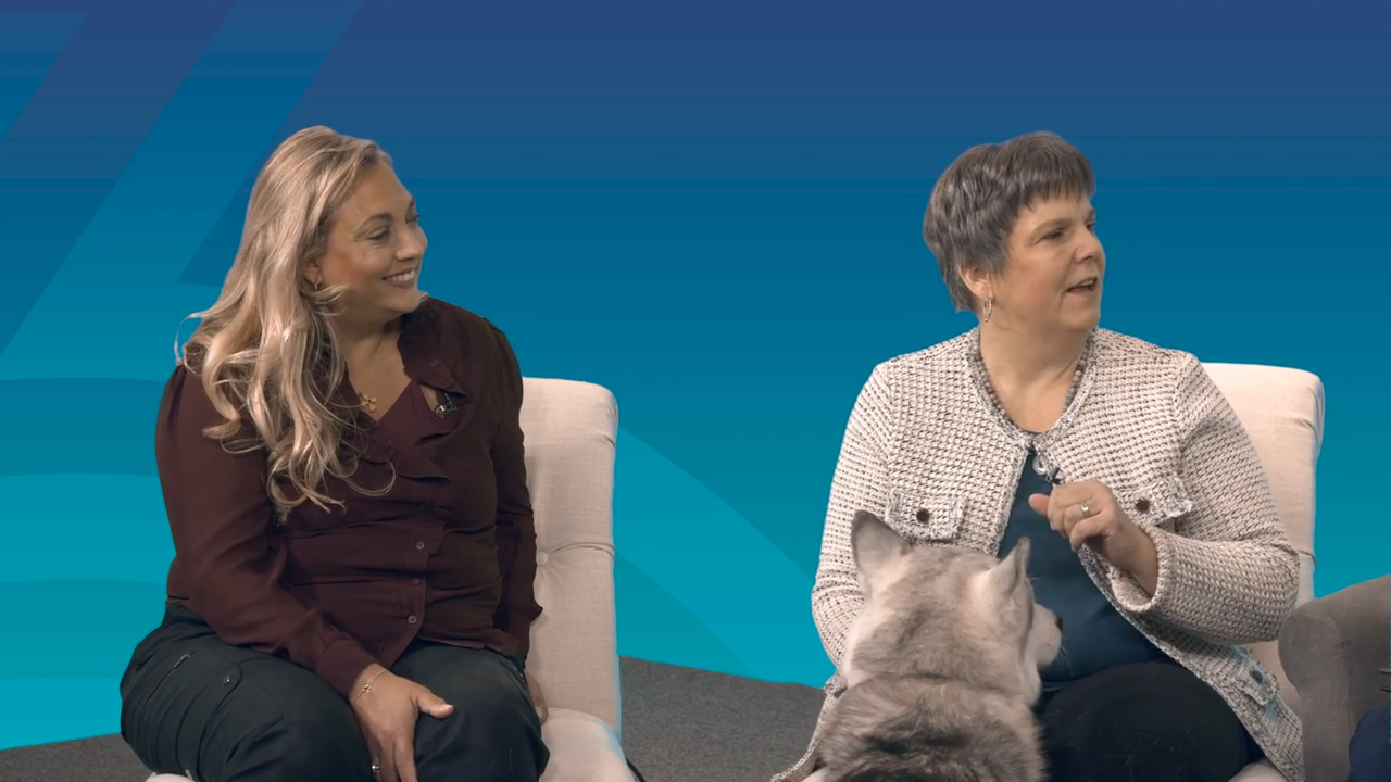 merck leptospirosis panel