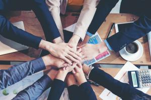 veterinary team building teamwork