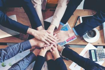 veterinary team building teamwork