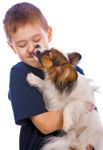 veterinary-dog-child-love-lick-face-hug-91741714-844641-1404210628358.jpg