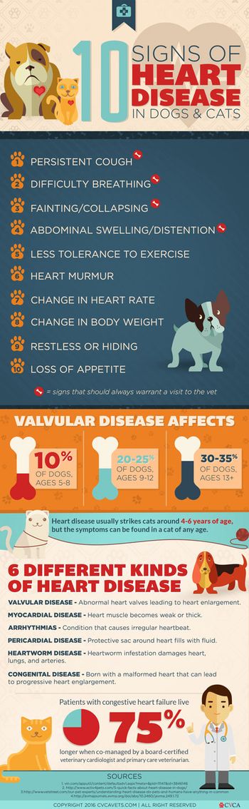heart-disease-infographic-450.jpg
