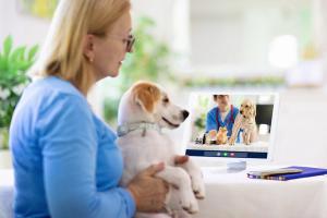 telehealth consultation with veterinarian
