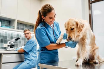 Veterinary visit