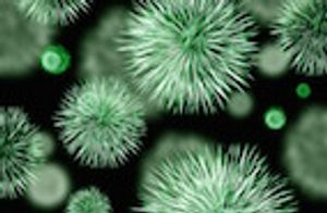 Researchers Note Tigecycline-Resistant Human Pathogens in Dogs