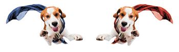 bup_450.jpg