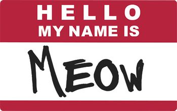 hello-my-name-is-tag-lable-450px-shutterstock-531391504-1.jpg