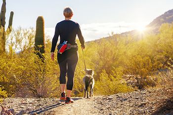 AdobeStock_198745098-body.jpg