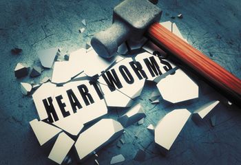 veterinary-smashing-heartworms-450px-shutterstock-251315983.jpg