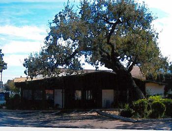 miller_willowlane_2.jpg