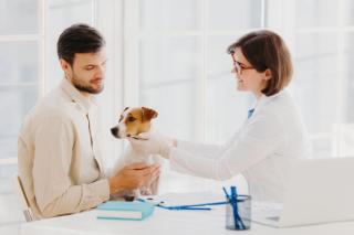 Educating clients on the signs of sepsis