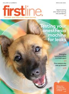 Firstline May/June 2020