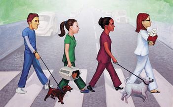 veterinary_UTASI-Firstline460px X 284px_flash.jpg