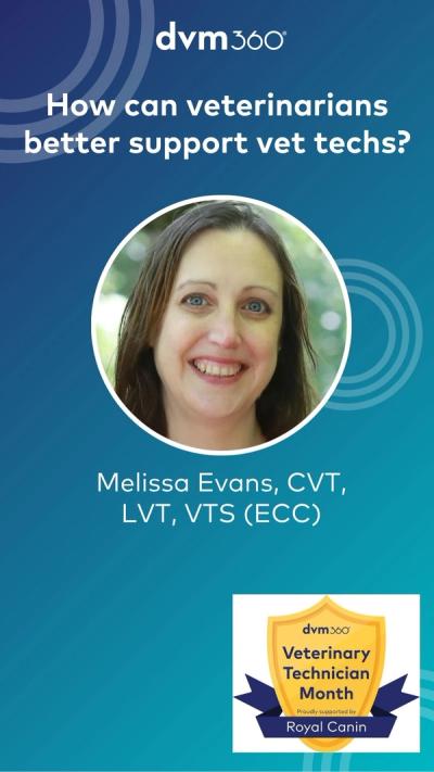 How can veterinarians better support vet techs?