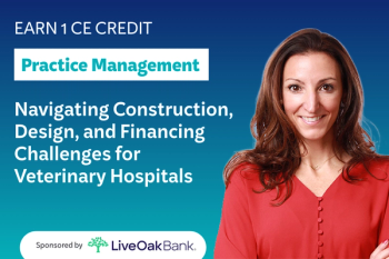 Navigating Construction, Design, and Financing Challenges for Veterinary Hospitals