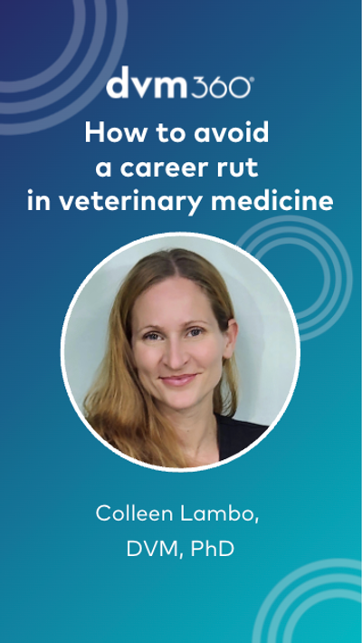 How to avoid a career rut in veterinary medicine
