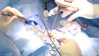 New micro-scoping technique transforms jaw disorder diagnosis in dogs  