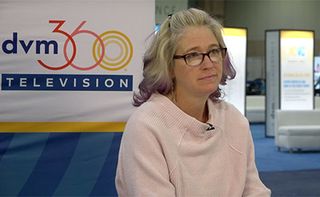 ACVC 2019: Common and unique uses for veterinary acupuncture