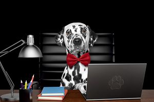 New managers: 6 tips for a great start
