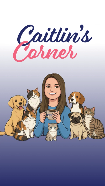 Coming soon: Caitlin's Corner