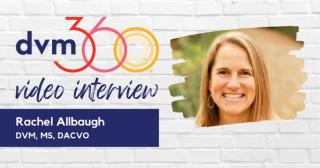 Meet the Fetch Faculty: Rachel Allbaugh, DVM, MS, DACVO