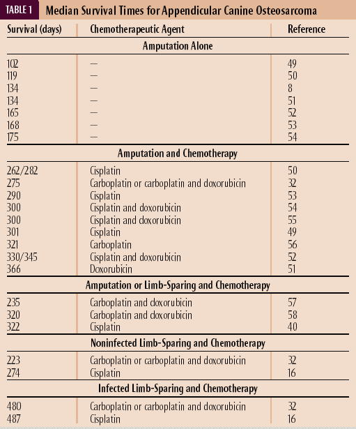 Current treatment options for dogs with appendicular osteosarcoma | dvm360