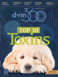 dvm360 March 2024