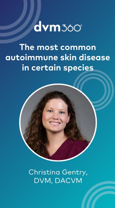 Understanding the most common autoimmune skin disease in certain species