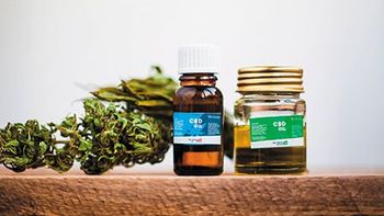 veterinary-cannabis-oil-cbd-shutterstock-769554031_thumb.jpg