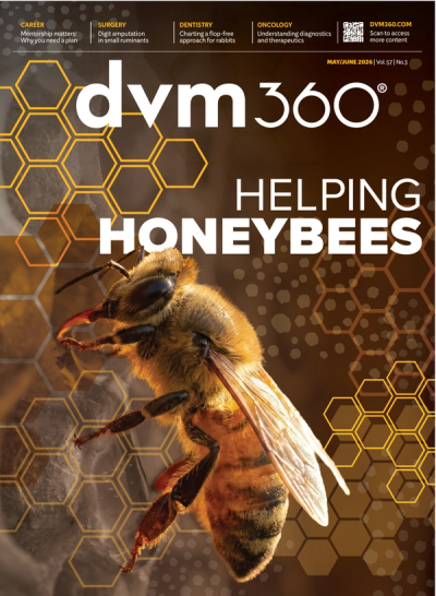 dvm360