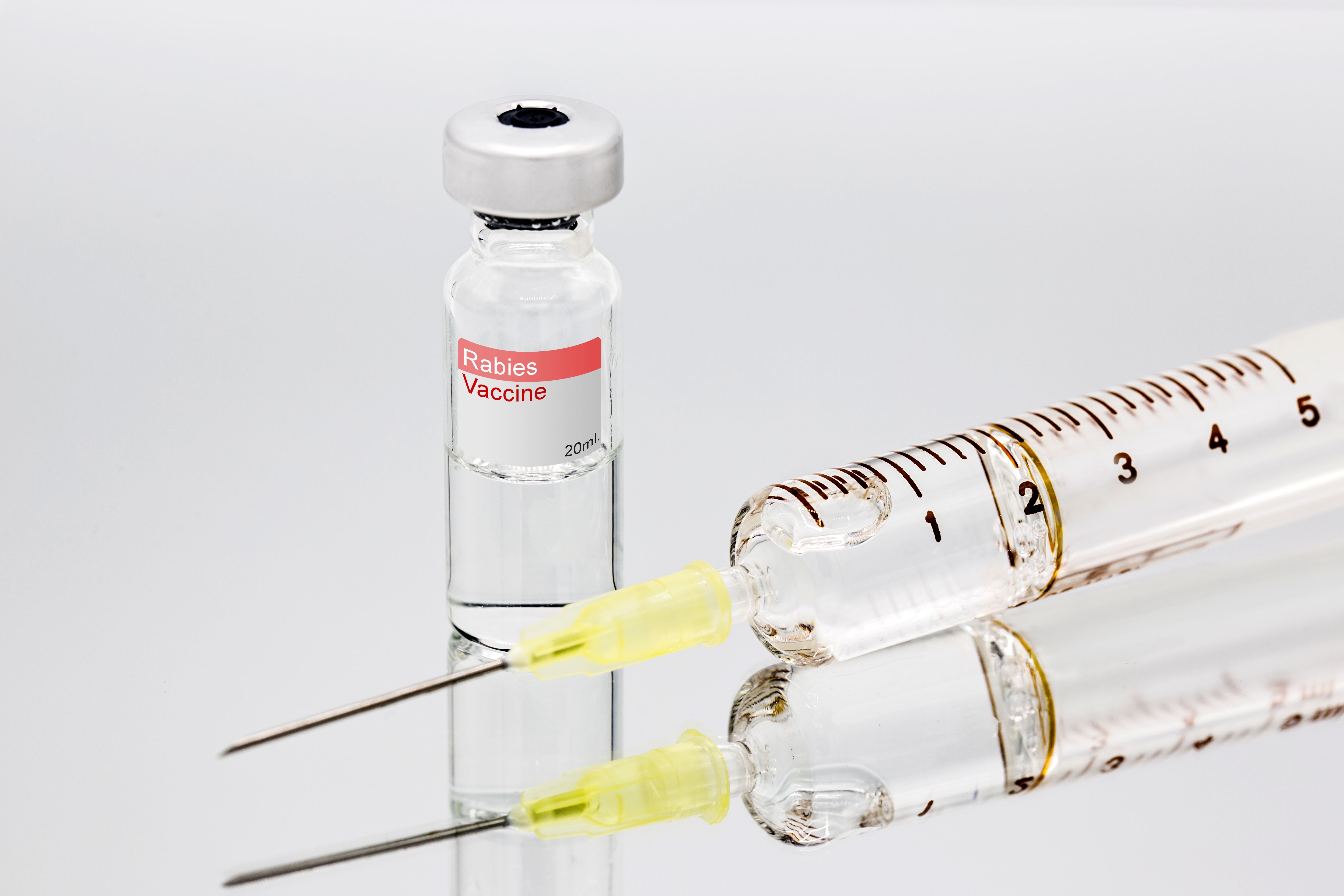 Veterinarian Clients Clash Over Rabies Vaccine Veterinarian clients clash over rabies vaccine