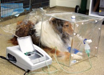 jet-nebulizer[4]-608394-1384505661542.jpg