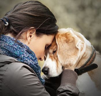 veterinary-dog-with-women-shutterstock-274435256-body.jpg