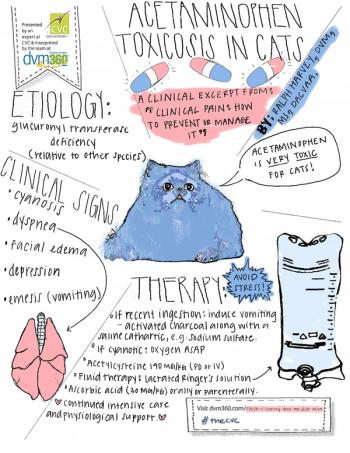 cat-tox-final-edit-450.jpg
