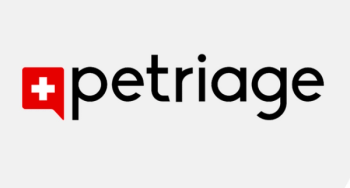 Yakobchuk Olena / stock.adobe.com